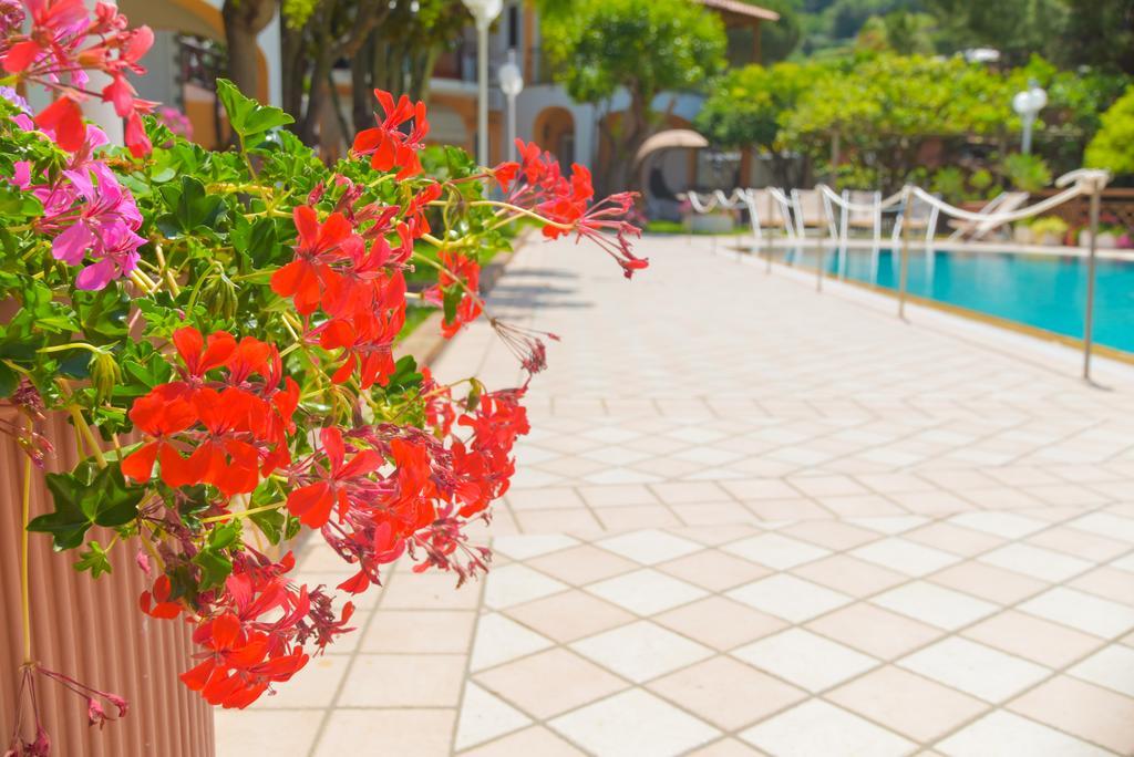 Hotel Ischia Dream Sunset Forio di Ischia Exterior foto